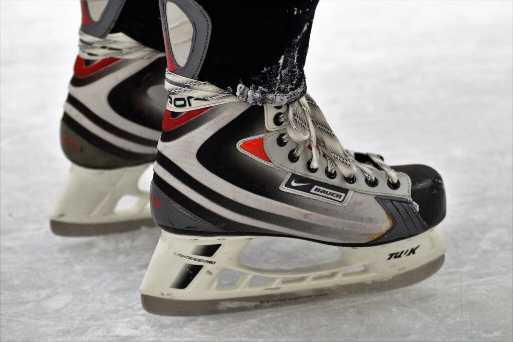 skates, polar area, the blade